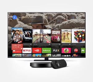 Nexus Player